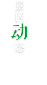 景区动态